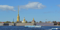 Кино, змеи и снова кино: куда сходить бесплатно 16 августа в Петербурге - Санкт-Петербург.ру