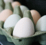 Яйца, сметана и творог: названы продукты, подешевевшие за месяц - Neva.Today