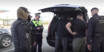 В Петербурге на двух трассах искали нелегалов и нарушителей ПДД