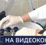 Вести 24 - ГТРК Санкт-Петербург