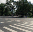 В Санкт‑Петербурге в рамках нацпроекта обновили улицу Савушкина - Комитет по развитию транспортной инфраструктуры