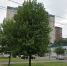 Утренний пожар на Туристской унес жизнь мужчины - Neva.Today