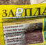 С 1 сентября это станет обязательным: четыре новых правила труда и выплат, о которых должен знать каждый - Neva.Today