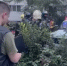 Уголовное дело возбудили после гибели мужчины при пожаре на улице Стойкости - Комсомольская правда