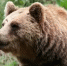 Фото: Pixabay - Мой район