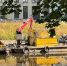 Фото: администрация Петербурга - Мой район