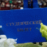 Торжественное собрание СЗГМУ им. И.И. Мечникова Минздрава России, посвящённое Дню знаний - СЗГМУ им. И.И. Мечникова