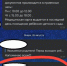 «Сферум» больше не нужен: родительские чаты детсадов Петербурга переводят в MAX с 1 сентября 2025 - Neva.Today