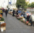 В Петербурге ликвидировали свыше 30 точек незаконной торговли за неделю - ГАZЕТА.СПб