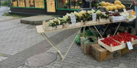 Кибер-порядок по-петербуржски: нейросеть «Городовой» отправилась на поиск нелегальной торговли - Neva.Today