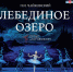 На сцене Эрмитажного театра исполнят «Лебединое озеро» 1 - Культура Петербурга