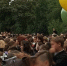 У девочки остановилось сердце на торжественной линейке в Ульяновской области - Neva.Today