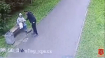 Полиция задержала на стройке в Мурино мигранта-нелегала за попытку утащить девочку в лес