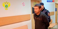 Суд отправил под арест мигранта-нелегала, пристававшего к девочке в Мурино - ГТРК Санкт-Петербург