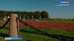 Синоптики обещают тёплую и сухую неделю в Петербурге