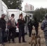 Мигранты прятались в кустах во время полицейского рейда в Петербурге - Петербургский дневник