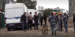 Мигранты прятались в кустах во время полицейского рейда в Петербурге