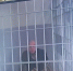 Муринский расчленитель получил 11 лет строгача за убийство ровесника по имени «Арина»*: чемодан с частями тела нашли у Невы - Neva.Today