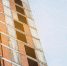 В Новом Ташкенте построят квартал "Санкт-Петербург" - ИА Медиа Ток