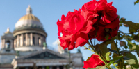 В Санкт-Петербурге 11 сентября ожидается до +24 градусов - Spbdnevnik.ru