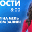 Новости Петербурга к 8:00 - tvspb.ru - ТК Санкт-Петербург
