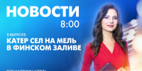 Новости Петербурга к 8:00 - tvspb.ru - ТК Санкт-Петербург