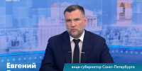 Первый этап благоустройства Южно-Приморского парка стартует в 2027 году - Петербургский дневник