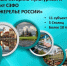 Как межрегиональный проект "Серебряное ожерелье России" помогает развиваться малым городам Северо-Запада страны - Metro Петербург