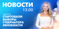 Новости Петербурга к 13:00 - tvspb.ru - ТК Санкт-Петербург