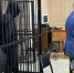 Убившего 10-месячного сына возлюбленной жителя Новосибирска посадили на 16 лет - Neva.Today