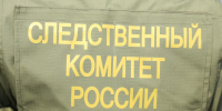 Александр Бастрыкин взял на контроль расследование инцидента с жестоким избиением подростка одноклассниками в Санкт-Петербурге - Spbdnevnik.ru