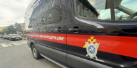 В Санкт-Петербурге арестован мужчина, совершивший противоправные действия в Невском районе - Следственный комитет