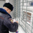 Мошенники вынудили петербурженку продать квартиру и перевести им 8 млн рублей - Комсомольская правда