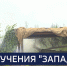 Вести 24 - ГТРК Санкт-Петербург