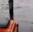 Скриншот видео: ГУ МВД по Петербургу и Ленобласти - Мой район