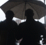 В Санкт-Петербурге 23 сентября ожидаются кратковременные дожди - Spbdnevnik.ru