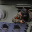 В Петербурге пройдет военно-патриотический фестиваль «Красносельские маневры» - Spbdnevnik.ru