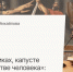 Продолжаем читать «Евгения Онегина» вместе с доктором философии Мариной Михайловой - Феодоровский собор