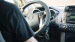 Подержанные автомобили подешевели в Петербурге более чем на 15% с начала года - tvspb.ru