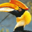 Фото: Ленинградский зоопарк - Мой район