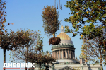 Специалисты приступили к демонтажу сада-трансформера на Исаакиевской площади