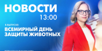 Новости Петербурга к 13:00 - tvspb.ru - ТК Санкт-Петербург