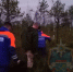 Тело мужчины нашли в лесу в Лужском районе Ленобласти - Комсомольская правда