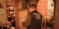 В Петербурге завершили расследование дела о жестоком убийстве внуком своей бабушки - tvspb.ru - ТК Санкт-Петербург