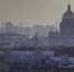 В Петербурге и Ленобласти потерялись 392 человека - Spbdnevnik.ru