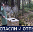 Вести 24 - ГТРК Санкт-Петербург