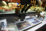 Медиация в Канатном цеху и «Башня знаний» от Кунсткамеры: петербуржцев приглашают на бесплатные экскурсии