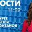 Новости Петербурга к 11:00 - tvspb.ru - ТК Санкт-Петербург