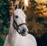 Фото: unsplash.com - Мой район