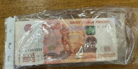 Под видом валютных торгов: супругов в Петербурге обвиняют в хищении 6,5 млн рублей - Вестник СЗФО